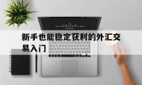 新手也能稳定获利的外汇交易入门(外汇交易实战快速入门)