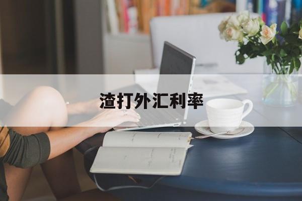 渣打外汇利率(渣打银行汇率实时查询)